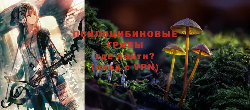 продажа наркотиков  Лобня  Галлюциногенные грибы Cubensis 